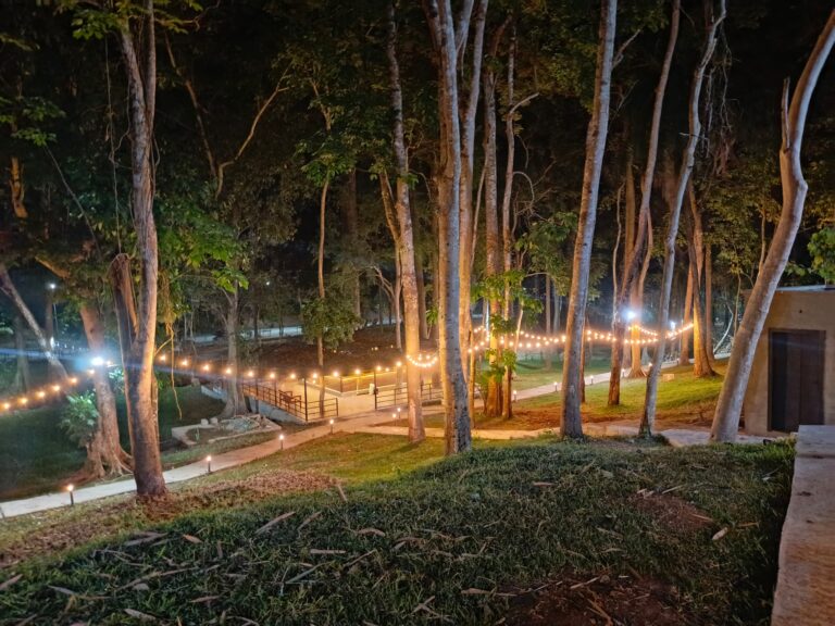 5-Day, 4-Night Ibadan & Ikogosi Staycation - Bellanic Concepts Image