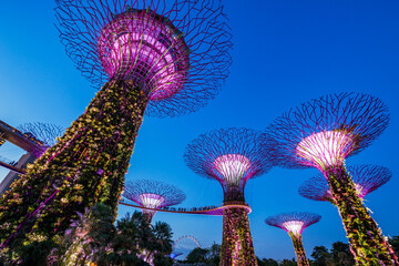 Singapore City 6 Nights Group Tour Package 2026 - Bellanic Concepts Image